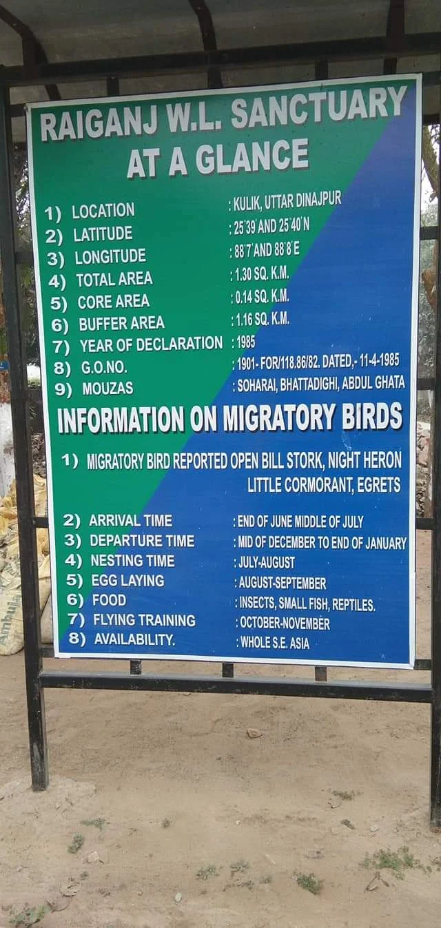 করোনার লাল চোখ উপেক্ষা করে গন্তব্য  হোক পাখিদের  স্বর্গরাজ্য কুলিক