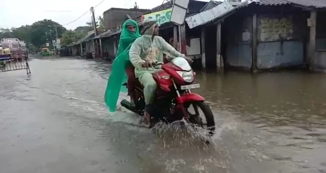 বসিরহাটে তড়িদাহত হয়ে মৃত ১
