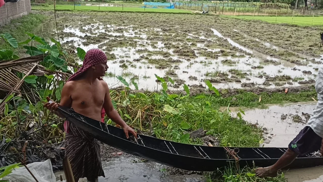 পেট্রোপণ্যের মূল্যবৃদ্ধিতে অভিনব প্রতিবাদ,  জমিতে পাম্পের বদলে পুরনো দিনের ডোংঙ্গা দিয়ে সেচ বিধায়কের