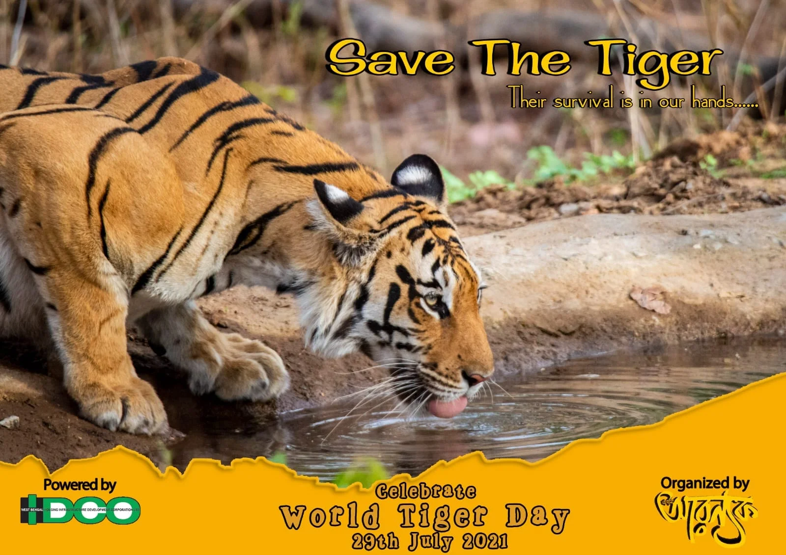 আজ ২৯ জুলাই, বিশ্ব বাঘ দিবস