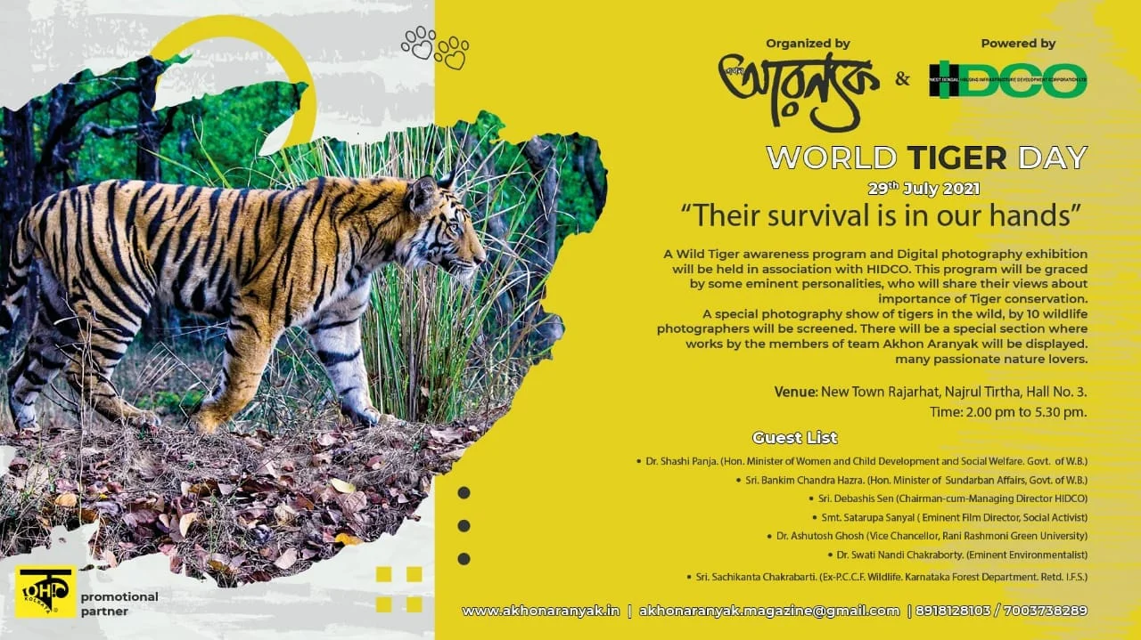 আজ ২৯ জুলাই, বিশ্ব বাঘ দিবস