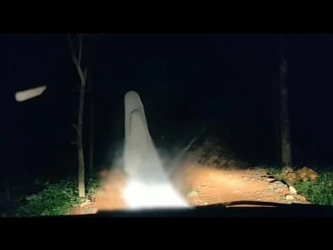 লাটাগুড়ির জঙ্গলে নকল অশরীরীর পর্দা ফাঁস