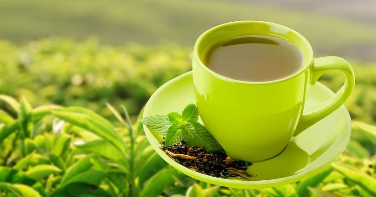 Good Morning... শুরু হোক ‘গ্রিন টি’ দিয়ে