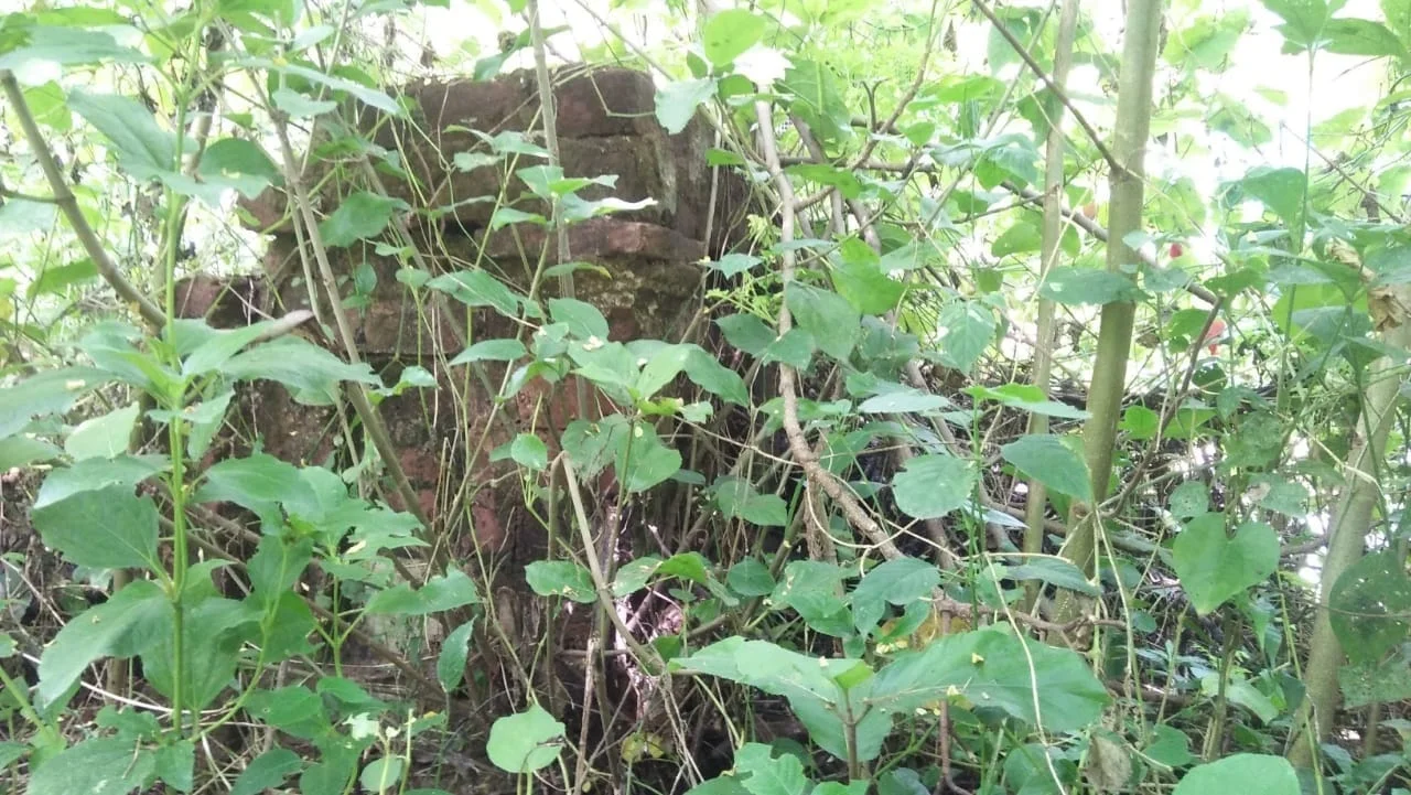 শেষের পথে নবাব সরফরাজ খাঁ-র সমাধি সংস্কারের কাজ