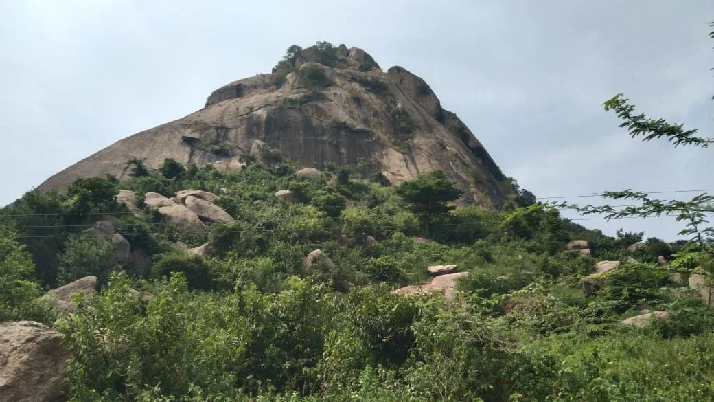 হীরক রাজার দেশে যেতে চান? চাপ নেবেন না, আছে আপনার ঘরের পাশেই!