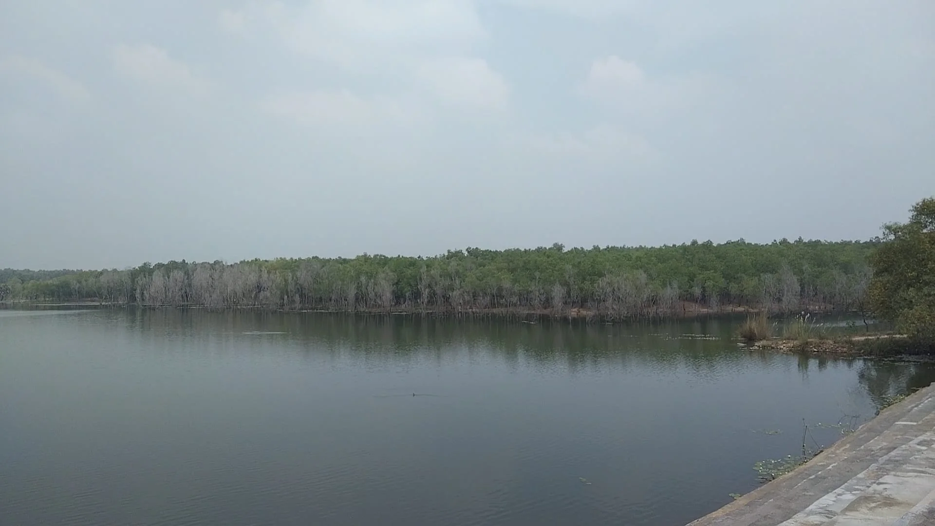 জানেন কি আপনার ঘরের কাছেই রয়েছে আস্ত একটা সুন্দরবন, চলুন ঘুরে আসি