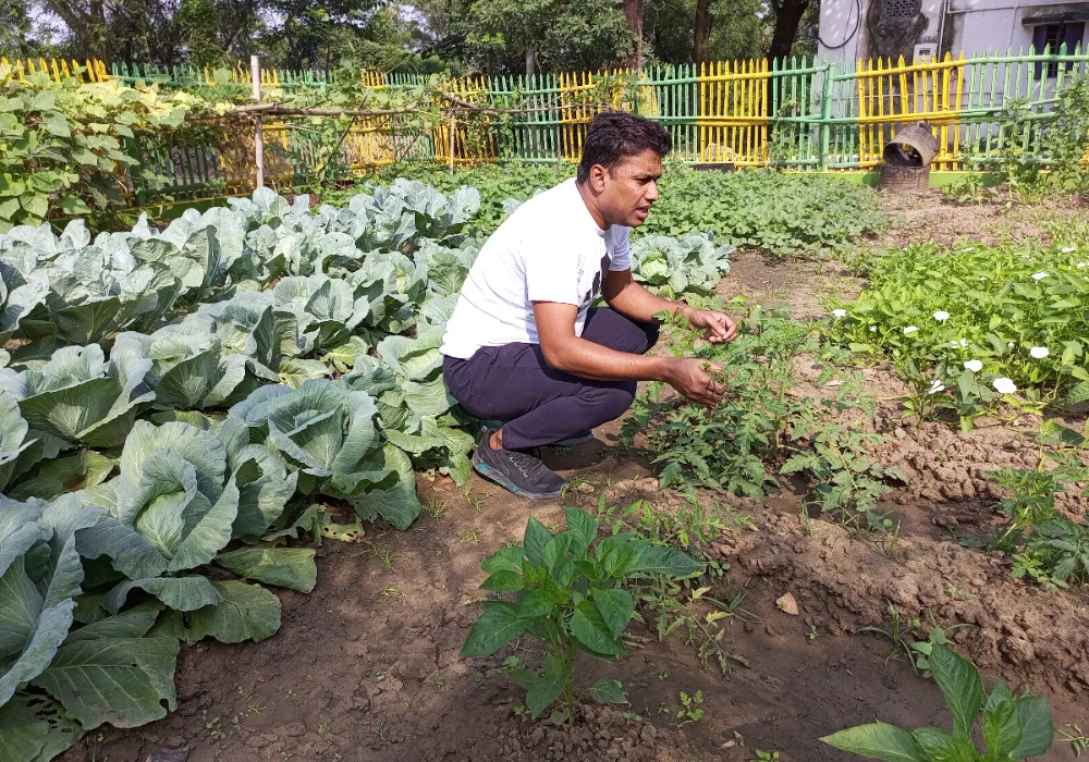 নিজ হাতে সবজি ফলিয়ে তাক লাগালেন স্বয়ং বিডিও