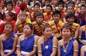 যেতে চান নাগাল্যন্ডের হর্নবিল উৎসবে?<div class=