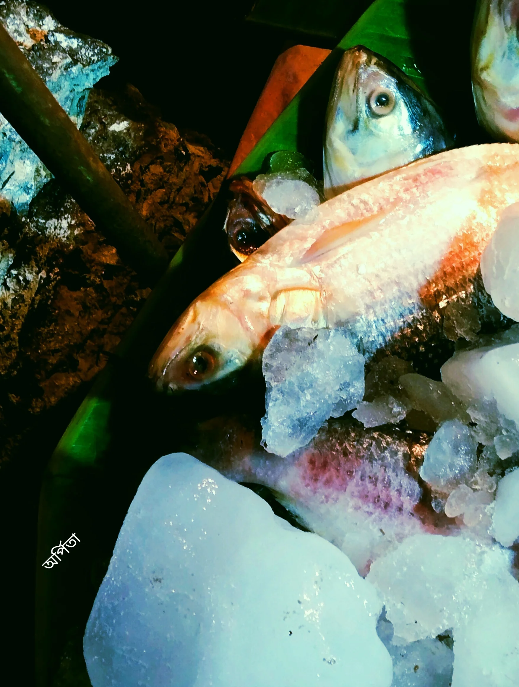 ভাইফোঁটার সকালে বাজার যাচ্ছেন? একনজরে দেখে নিন ছবি সহ সম্পূর্ণ বাজারদর