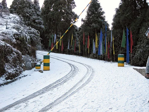 বছরের প্রথম তুষারপাতে ঢাকল দার্জিলিং থেকে সিকিম, আনন্দে মাতলেন পর্যটকেরা