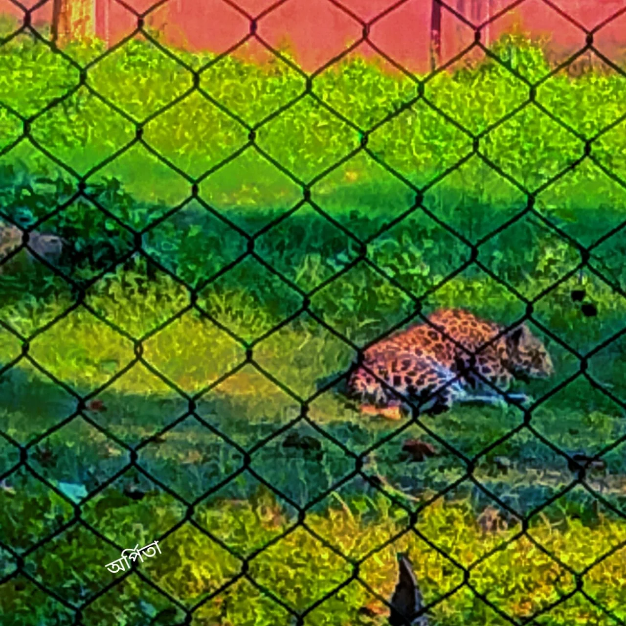 ঘুরে আসুন  রাজার শহর বর্ধমান থেকে, ছুঁয়ে আসুন শরিফাবাদের ইতিহাস