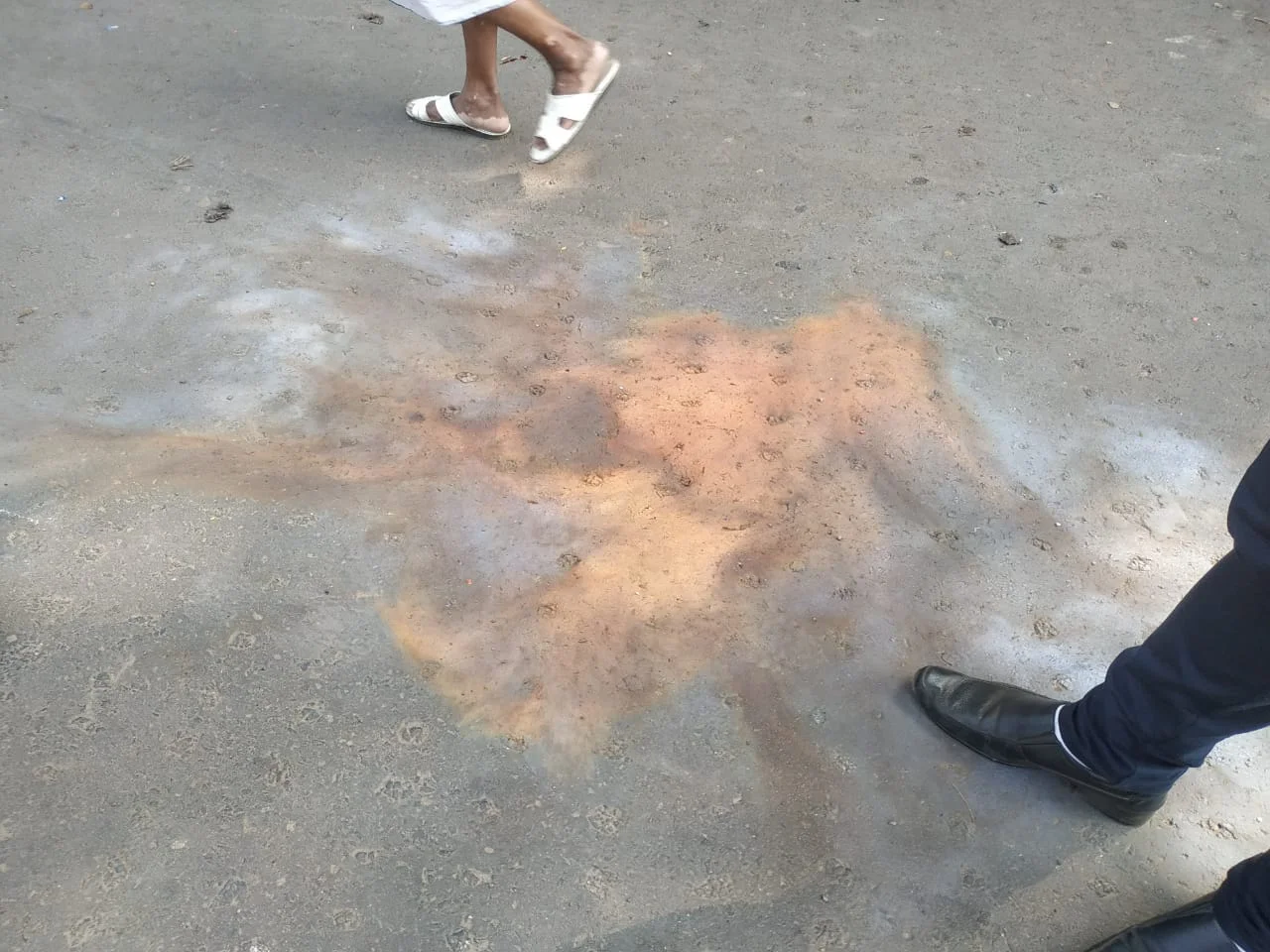 লাগামছাড়া সন্ত্রাসের অভিযোগ, ১৪৪টি ওয়ার্ডেই পুনর্নির্বাচনের দাবি বিজেপির