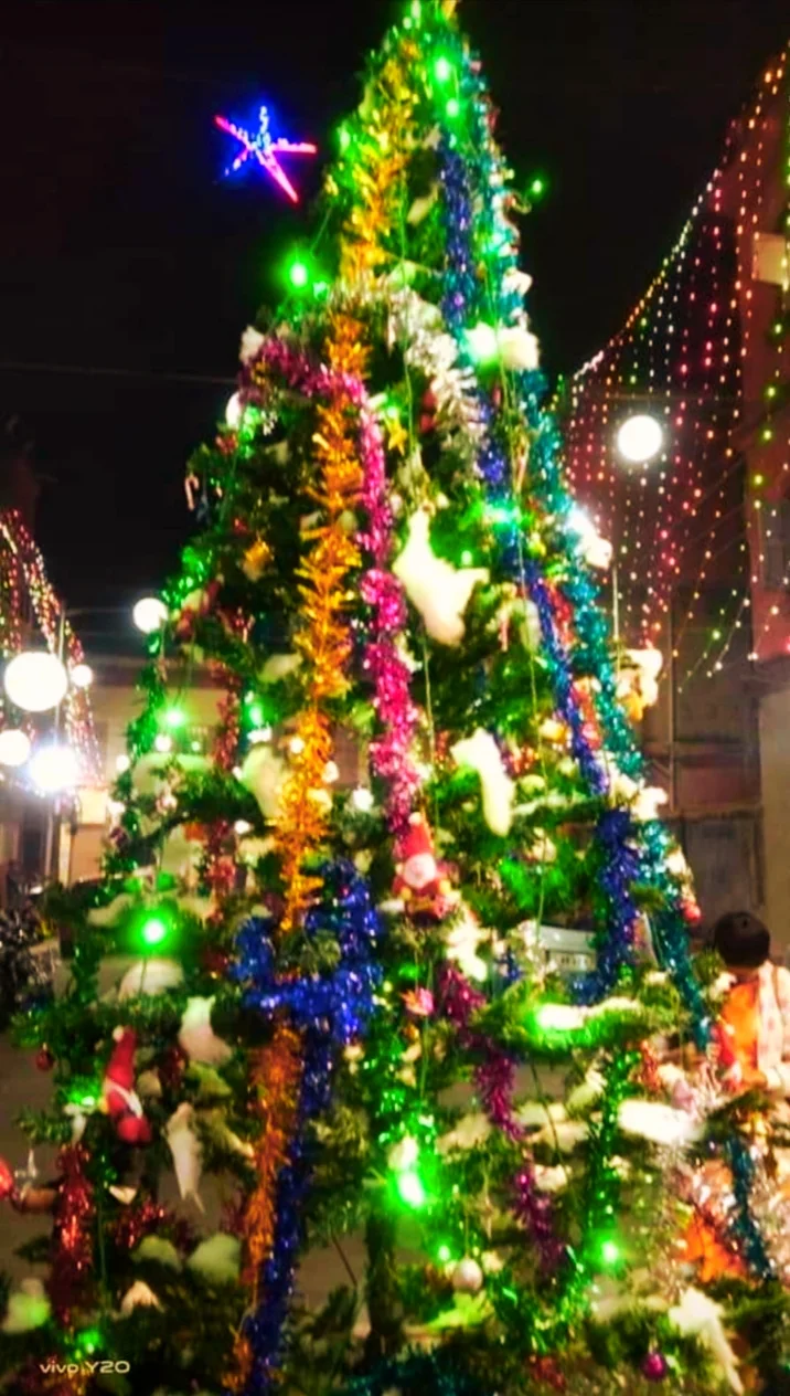 ছবিতে দেখুন বো ব্যারাকে বড়দিন