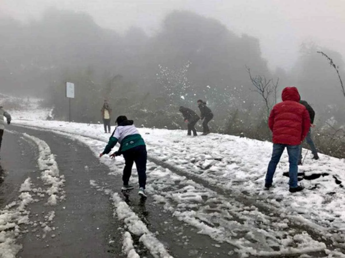 বছরের প্রথম তুষারপাতে ঢাকল দার্জিলিং থেকে সিকিম, আনন্দে মাতলেন পর্যটকেরা