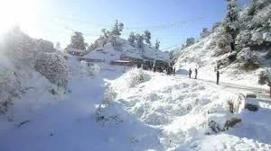 বছরের প্রথম তুষারপাতে ঢাকল দার্জিলিং থেকে সিকিম, আনন্দে মাতলেন পর্যটকেরা