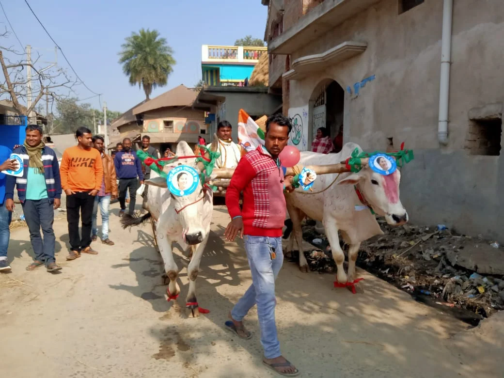 তৃণমূলের প্রতিষ্ঠা দিবসে, গরুর গাড়িতে চড়ে 'বনভোজন' করে কেন্দ্রের বিরুদ্ধে প্রতিবাদ