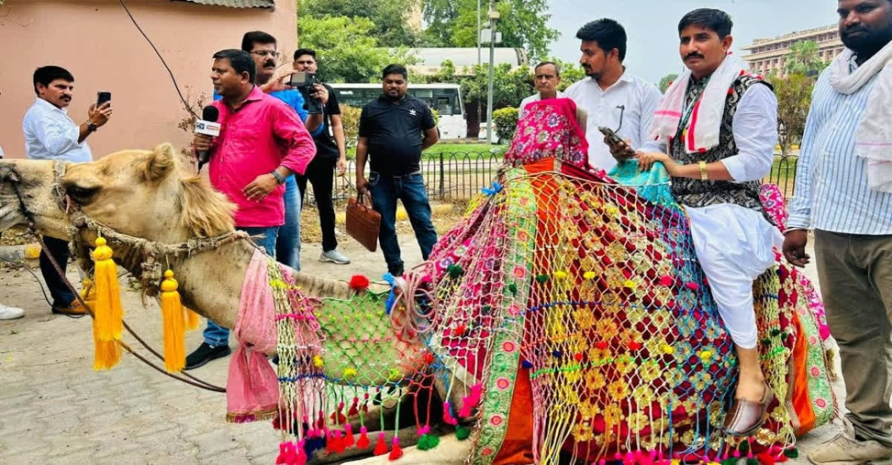 উটের পিঠে চেপে  'সংসদ'-এ সাংসদ! মাঝ রাস্তায় রাস্তা আটকালো পুলিশ