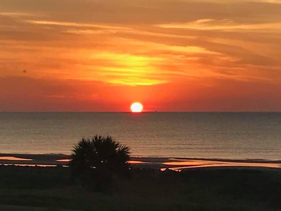 সূর্যকিরণের মধ্যেই আছে রোগ প্রতিরোধের ক্ষমতা