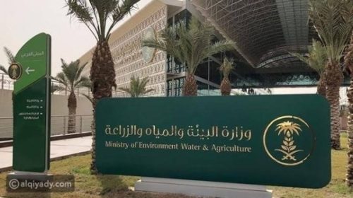 Saudi agriculture investment gap